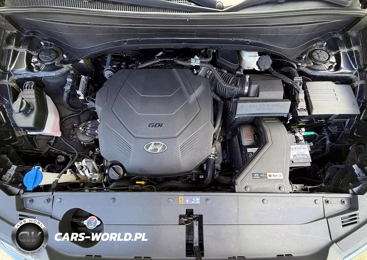 2023 Hyundai Palisade Calligraphy VIN:KM8R7DGE9PU505495 - 14