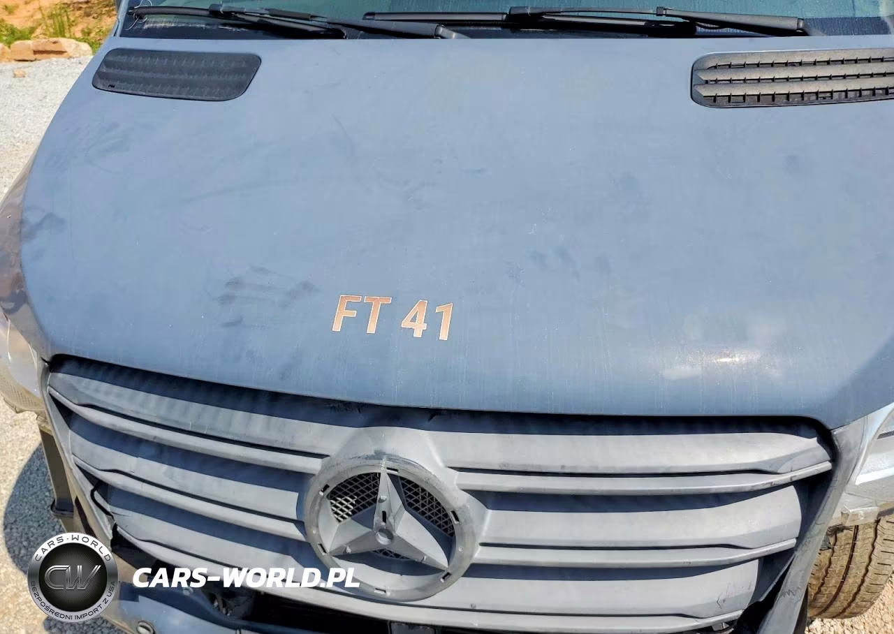 2019 Mercedes-Benz Sprinter 2500-3500 Delivery Van VIN:WD4PF1CD7KP129516 - 12