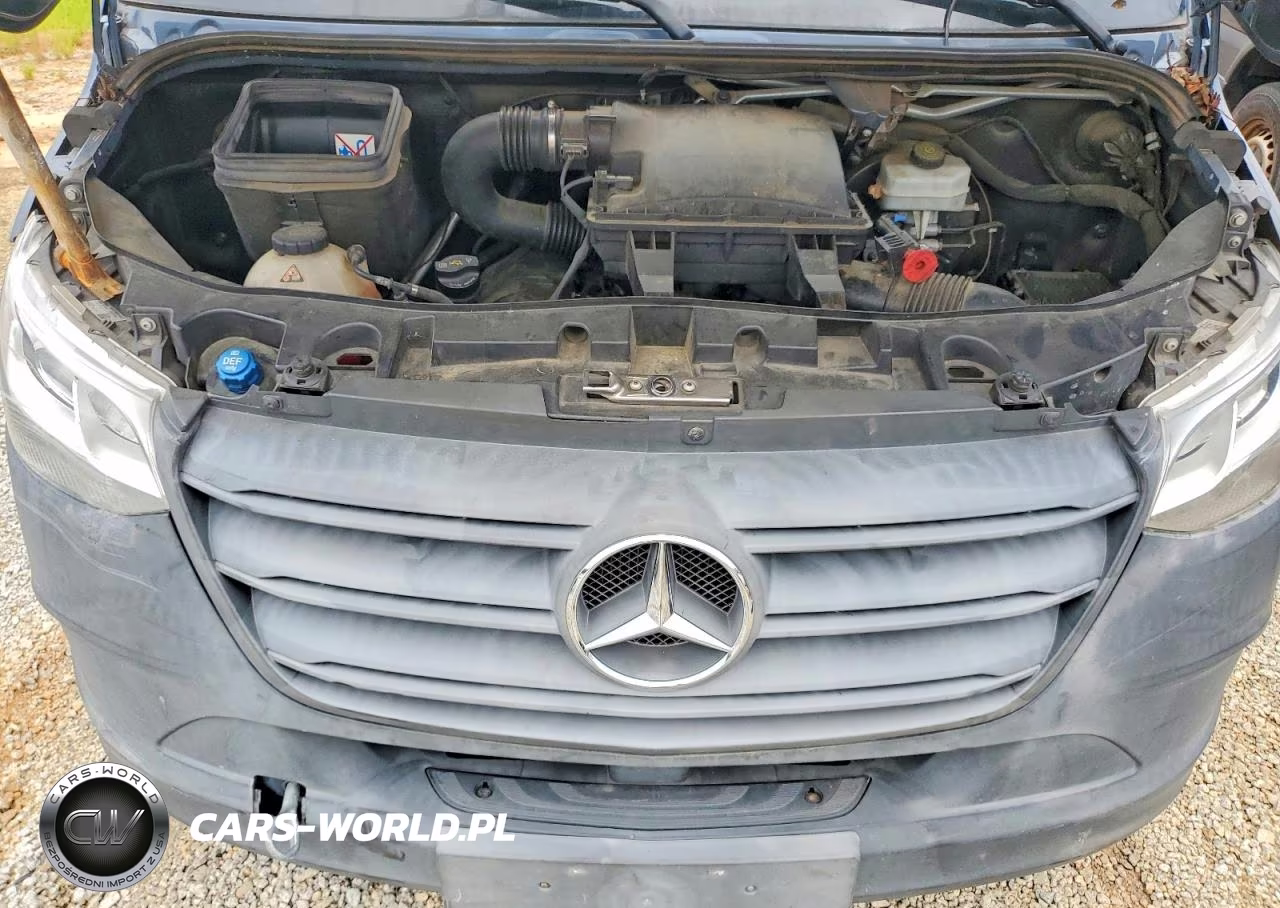 2019 Mercedes-Benz Sprinter 2500-3500 Delivery Van VIN:WD4PF1CD7KP145702 - 12