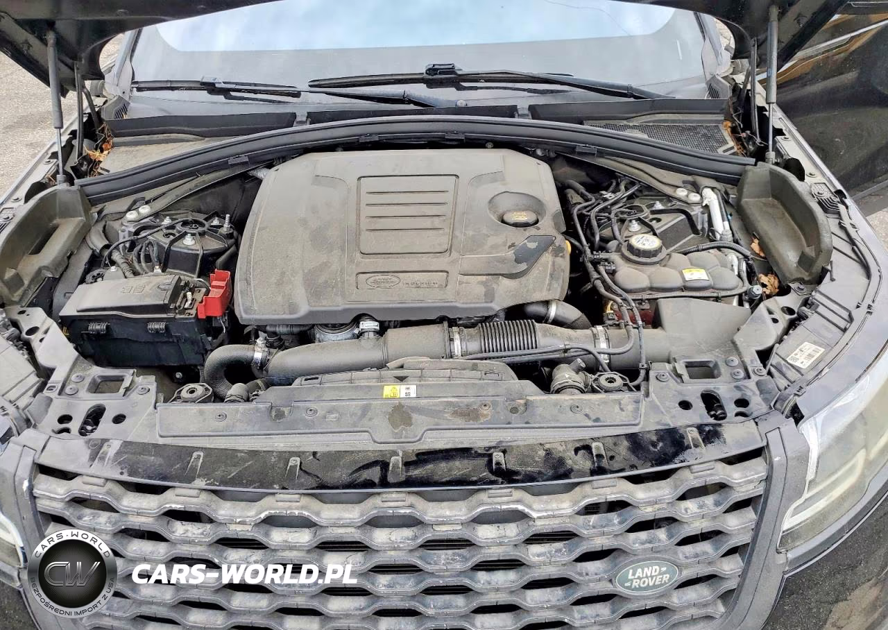 2024 Land Rover Range Rover Velar Dynamic Hse VIN:SALYM2FU9RA302738 - 11