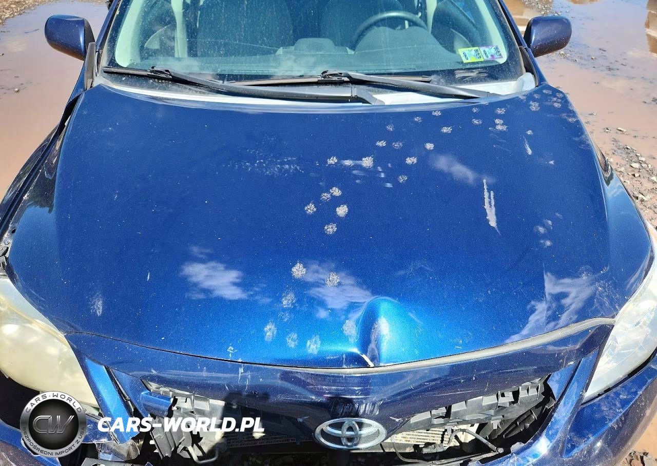 2013 Toyota Corolla L VIN:2T1BU4EE3DC960997 - 11
