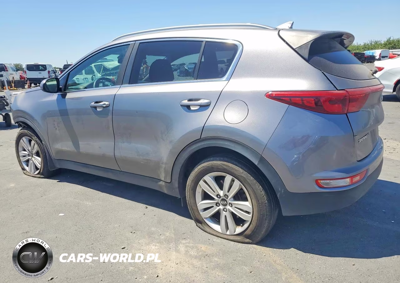 2019 Kia Sportage Lx VIN:KNDPM3AC5K7540273 - 2