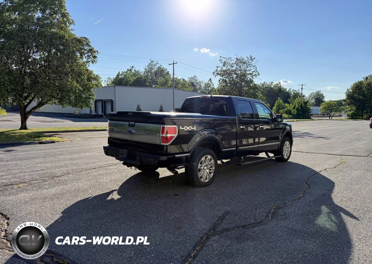 2009 Ford F150 Supercrew VIN:1FTPW14V69FB42128 - 4