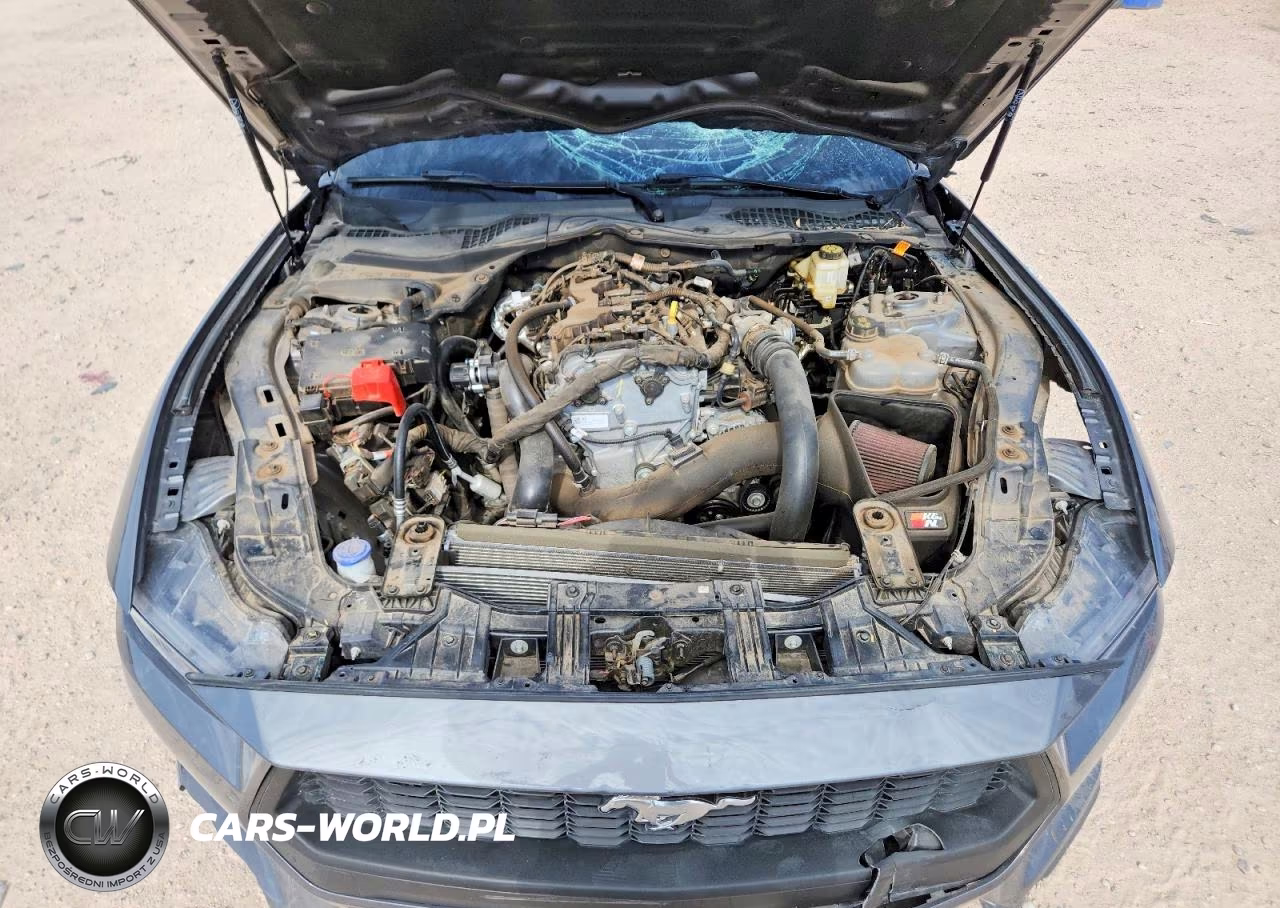 2024 Ford Mustang VIN:1FA6P8TH8R5100469 - 11