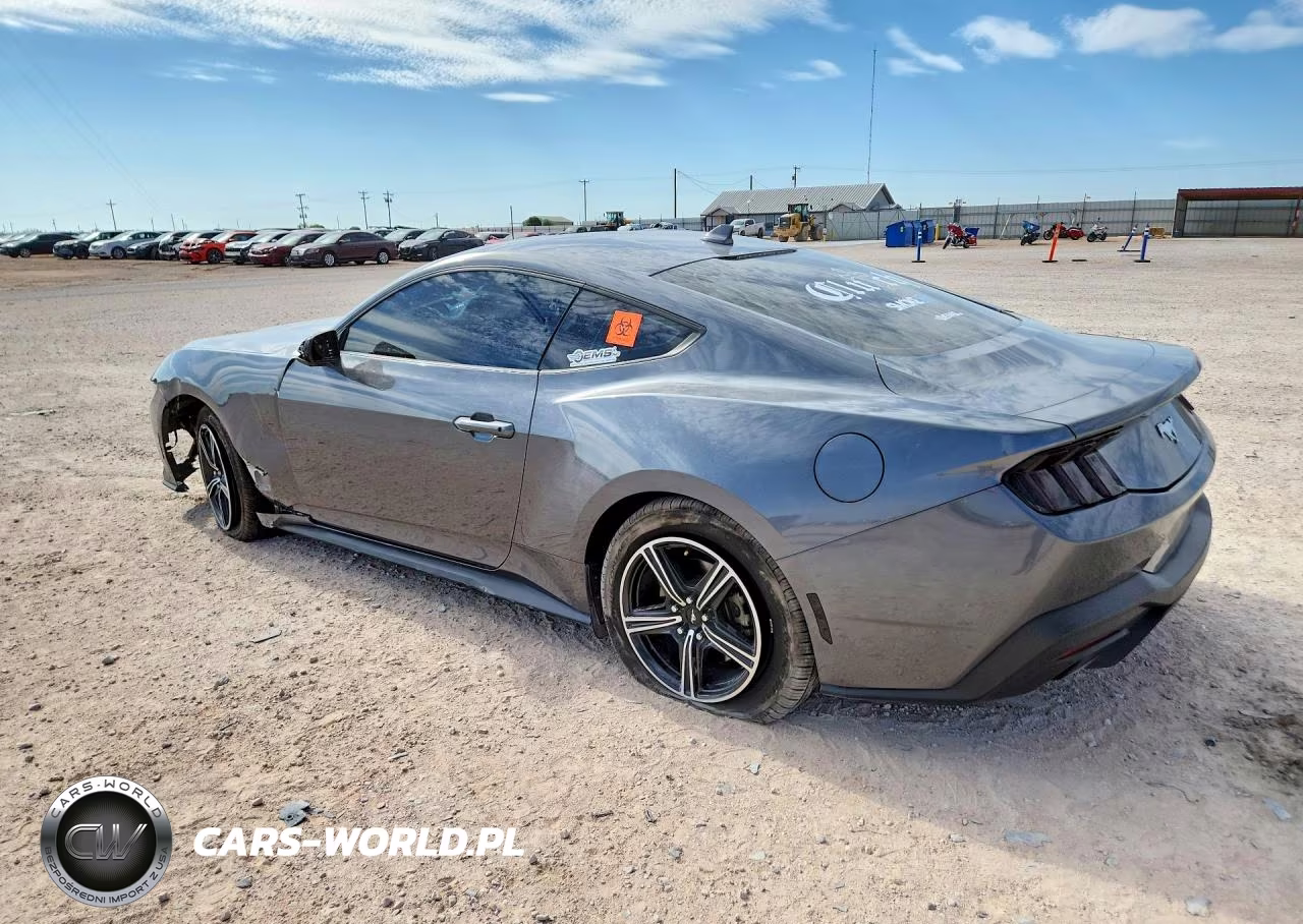 2024 Ford Mustang VIN:1FA6P8TH8R5100469 - 2