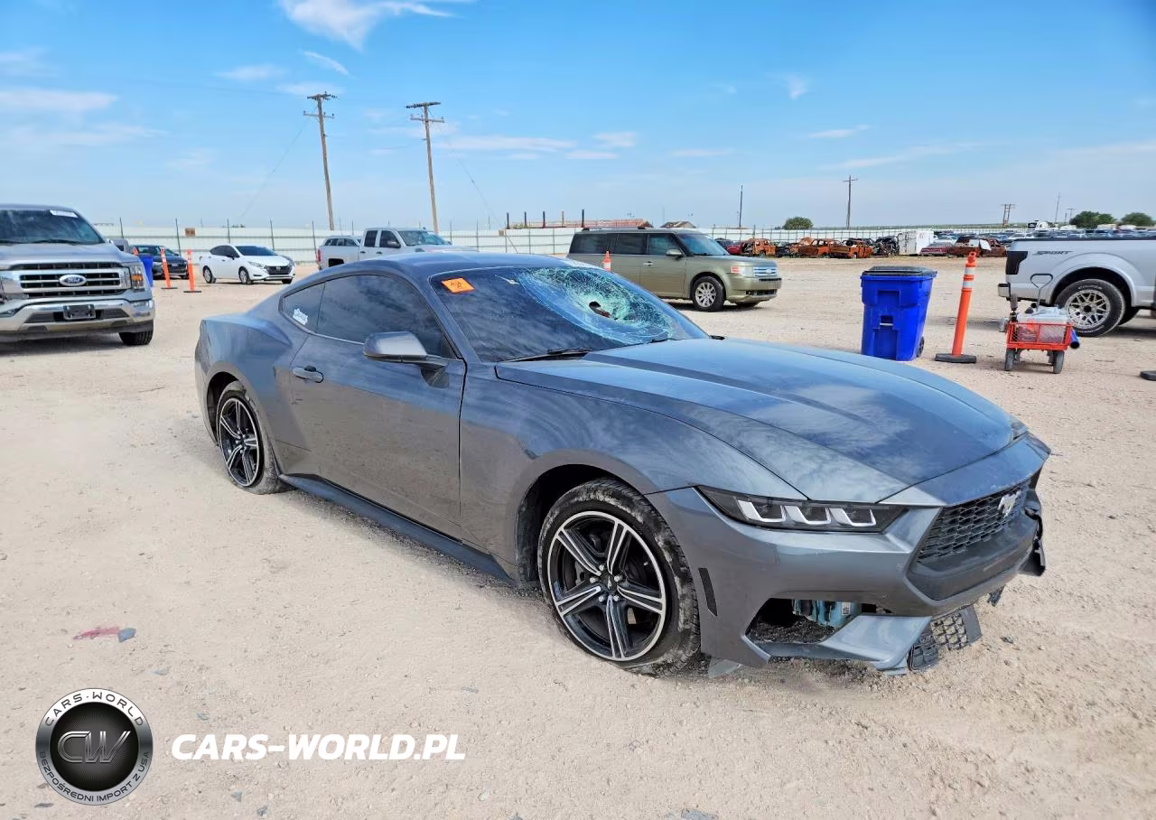2024 Ford Mustang VIN:1FA6P8TH8R5100469 - 4