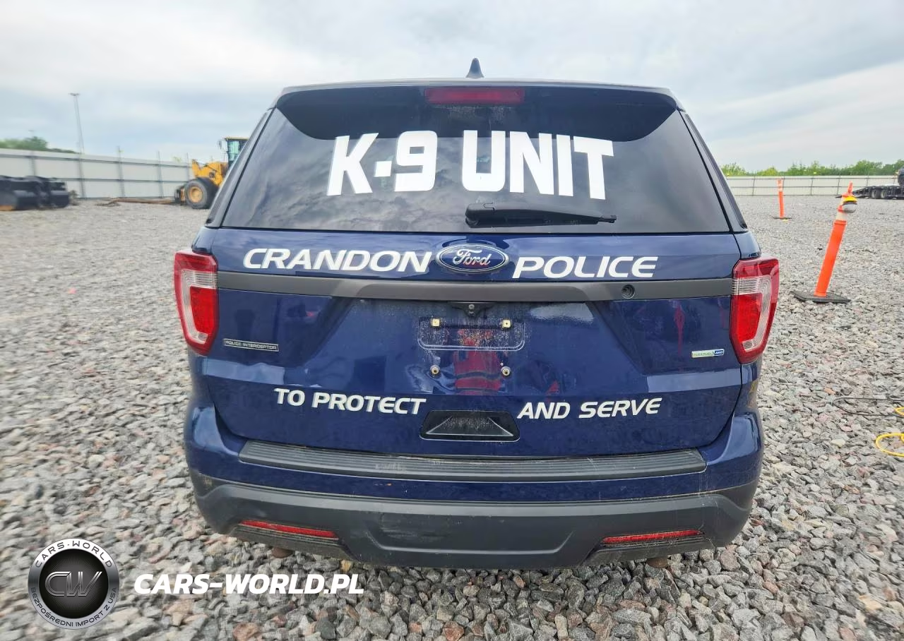 2018 Ford Explorer Police Interceptor VIN:1FM5K8AR1JGC17198 - 6