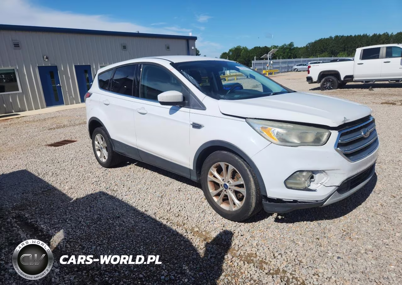 2017 Ford Escape Se VIN:1FMCU0GD3HUB05299 - 4