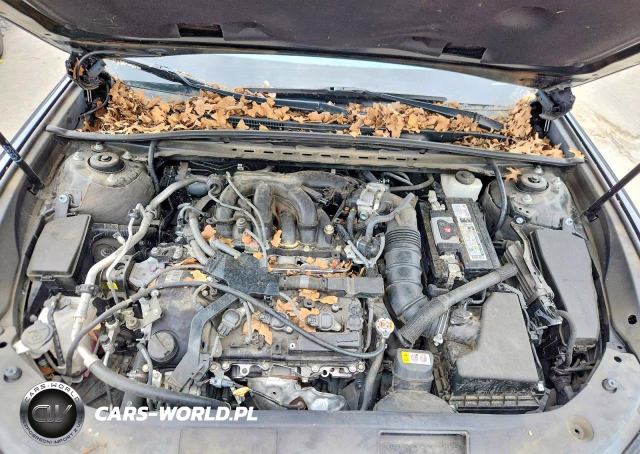 2019 Lexus Es 350 Ultra Luxury VIN:58ABZ1B10KU021862 - 11