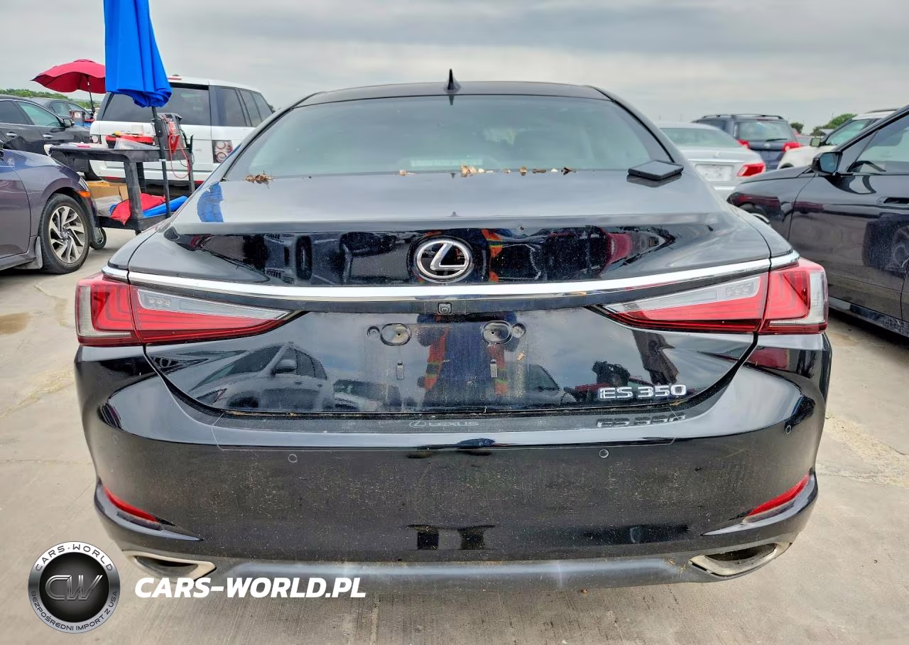 2019 Lexus Es 350 Ultra Luxury VIN:58ABZ1B10KU021862 - 6