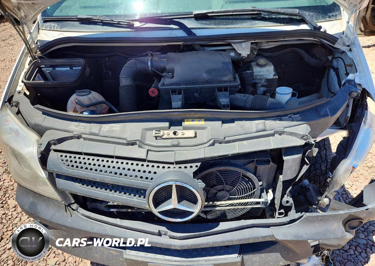 2016 Mercedes-Benz Sprinter 2500 VIN:WD3PE7DD9GP314862 - 11