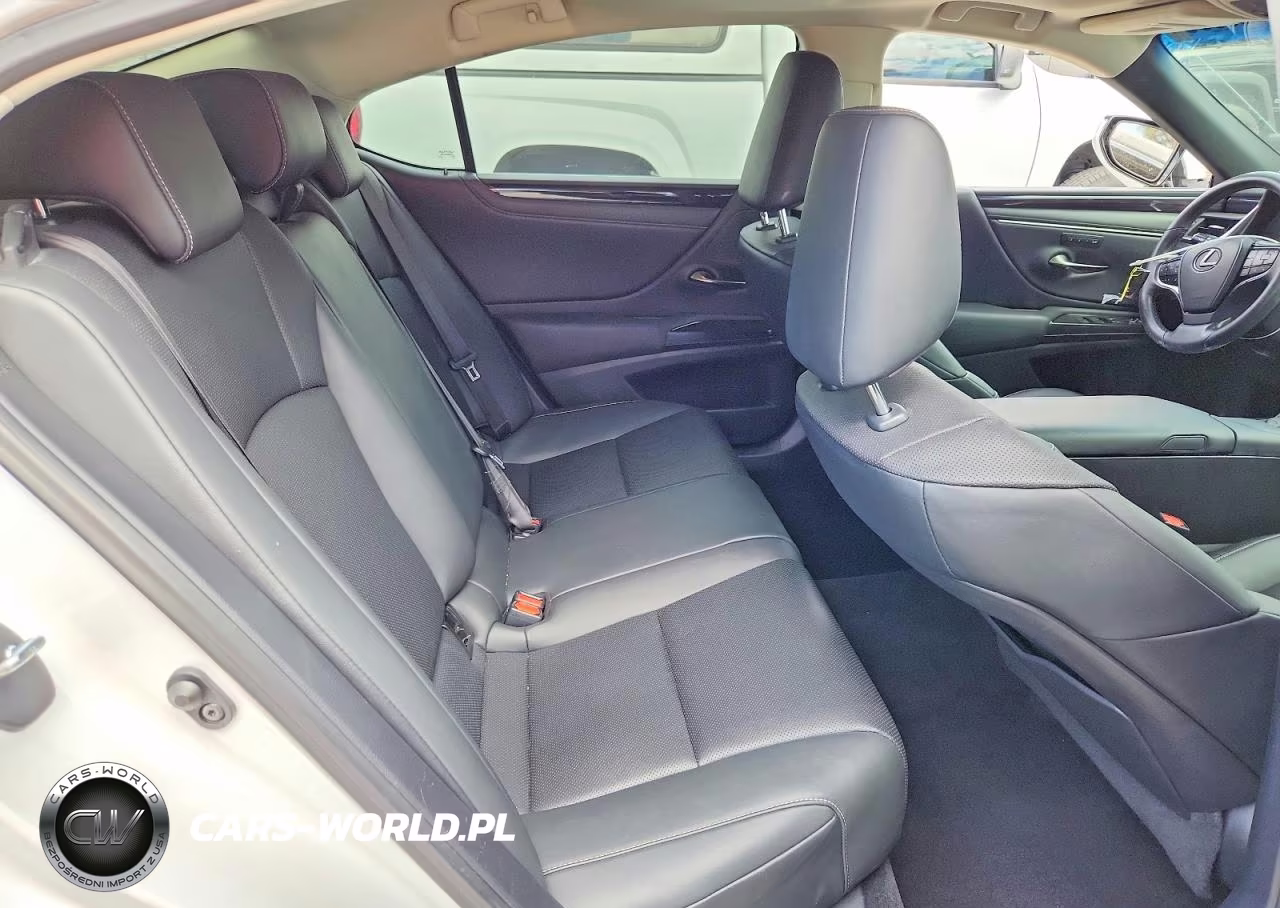 2020 Lexus Es 350 VIN:58ADZ1B14LU061999 - 10