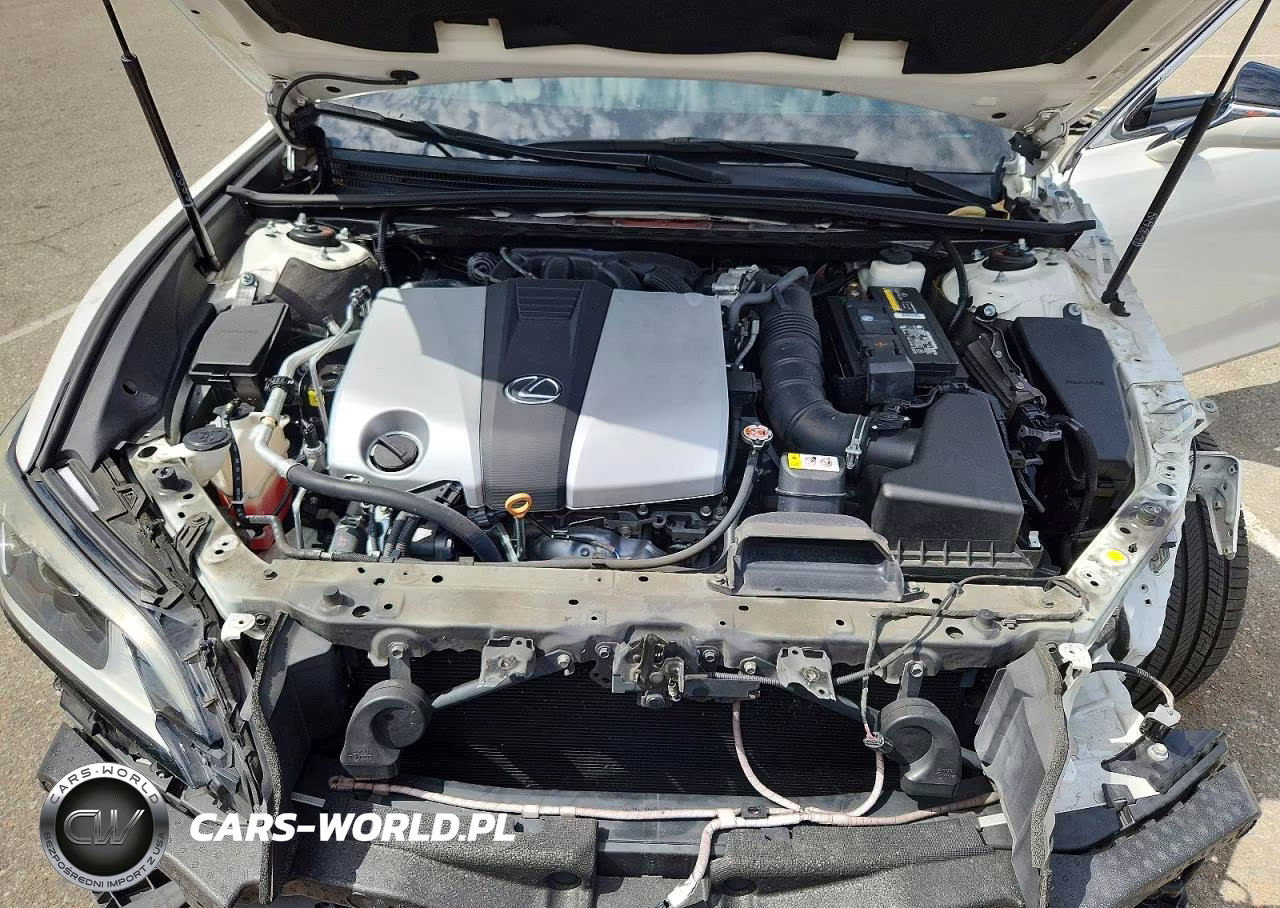 2020 Lexus Es 350 VIN:58ADZ1B14LU061999 - 11