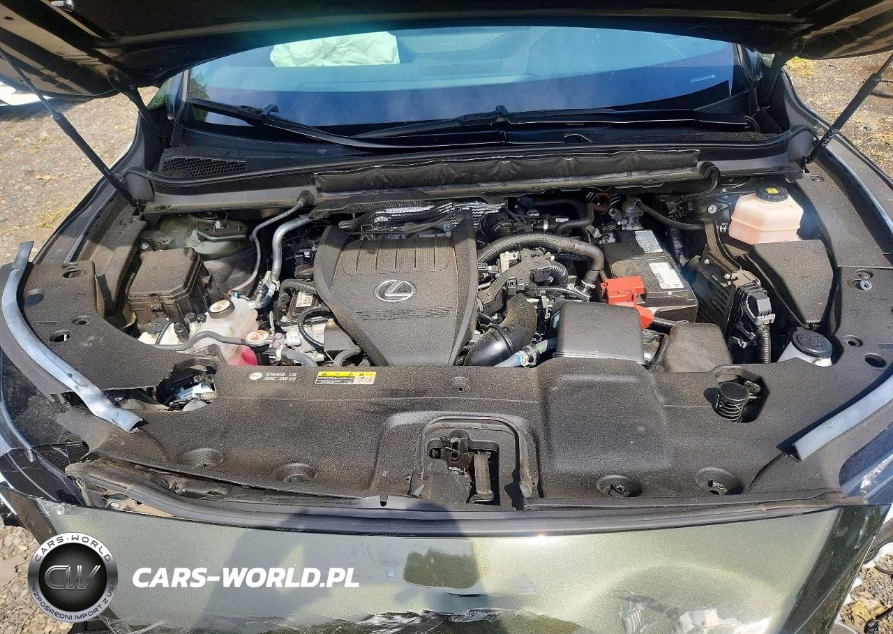 2023 Lexus Rx 350 Premium VIN:2T2BAMCA0PC024070 - 12