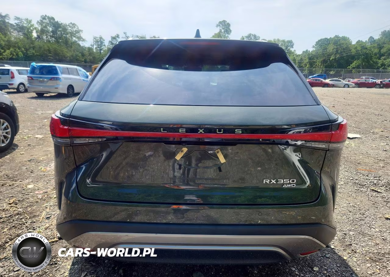 2023 Lexus Rx 350 Premium VIN:2T2BAMCA0PC024070 - 6