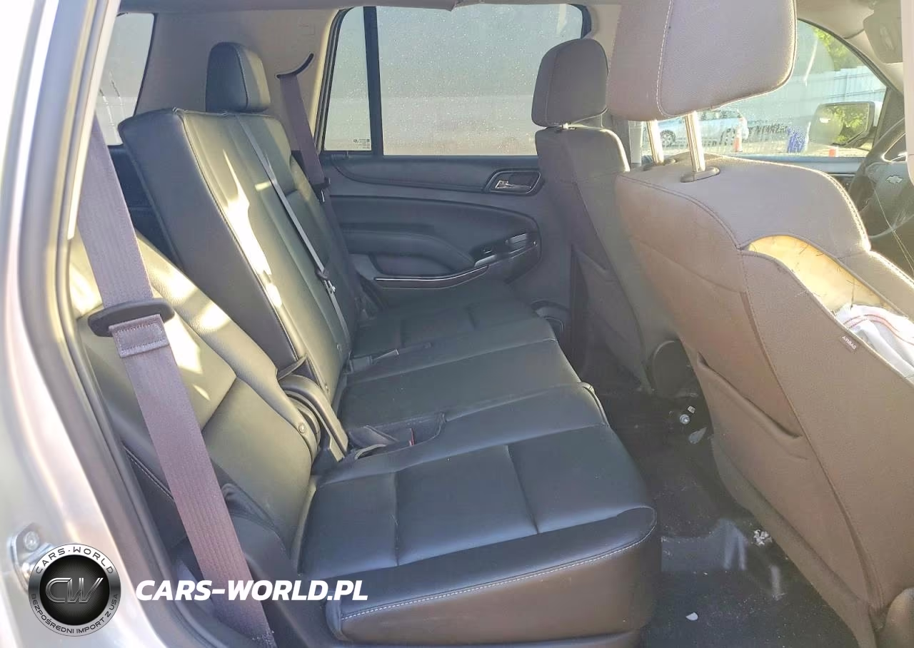 2017 Chevrolet Tahoe Police VIN:1GNLCDEC7HR250865 - 10