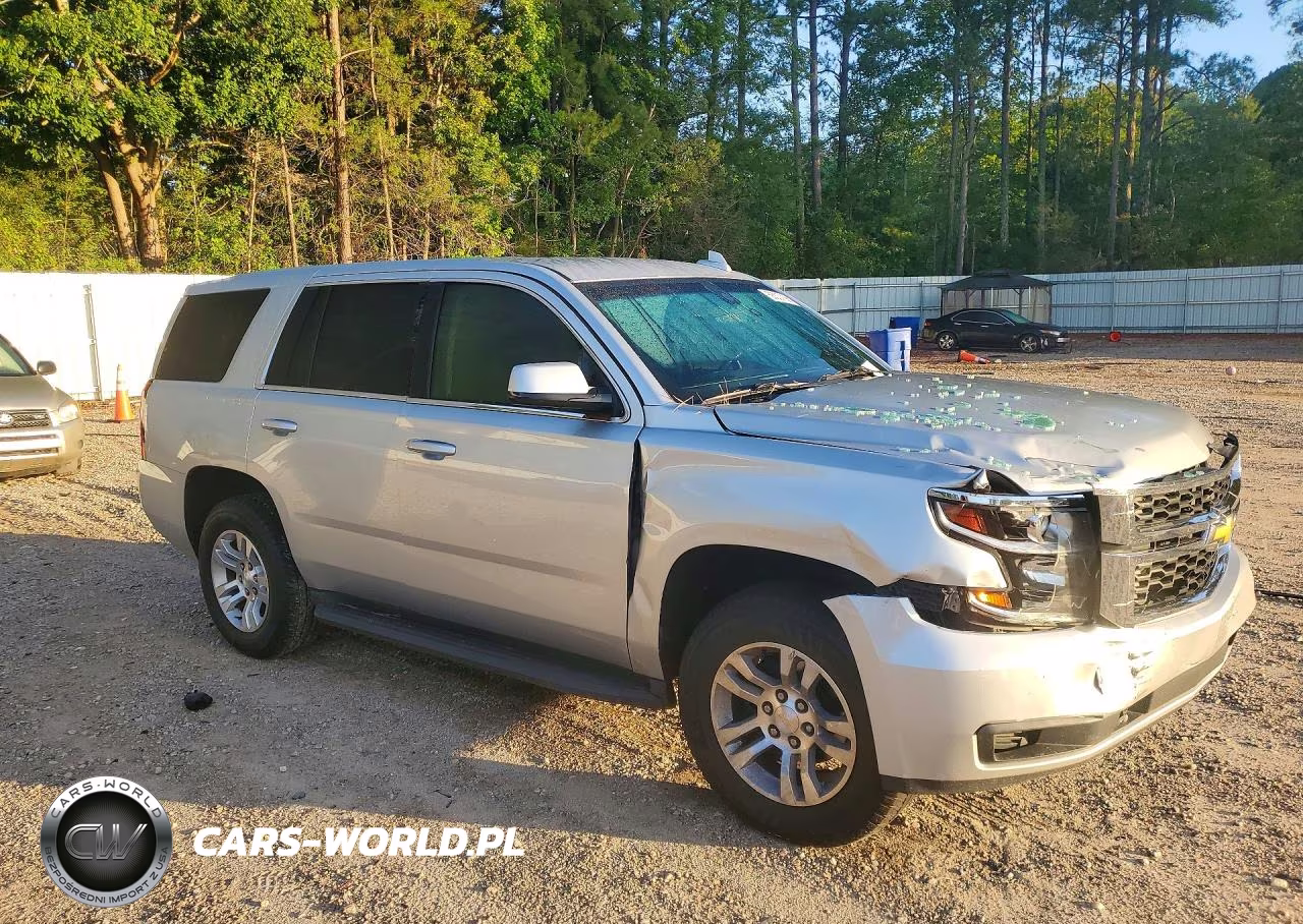 2017 Chevrolet Tahoe Police VIN:1GNLCDEC7HR250865 - 4