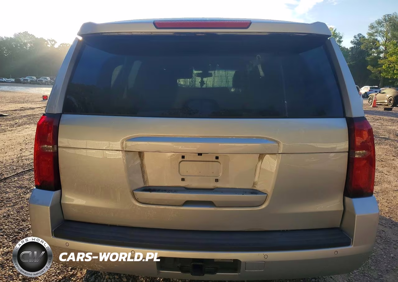 2017 Chevrolet Tahoe Police VIN:1GNLCDEC7HR250865 - 6