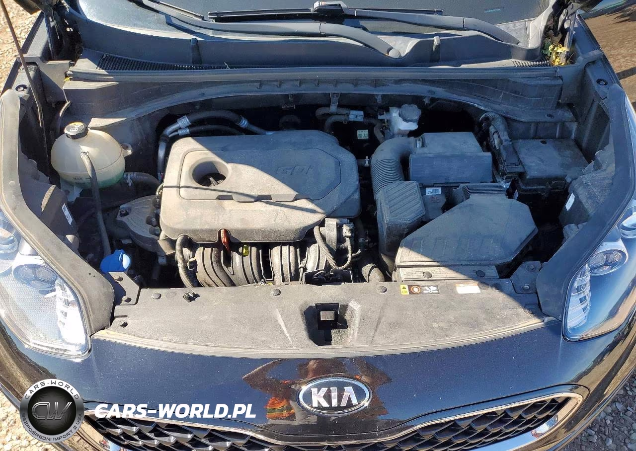 2020 Kia Sportage Lx VIN:KNDPMCAC2L7710946 - 12