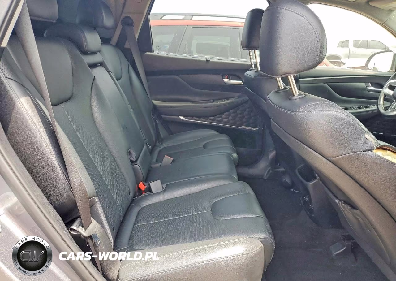 2019 Hyundai Santa Fe Limited 2.0T VIN:5NMS53AA9KH077116 - 11