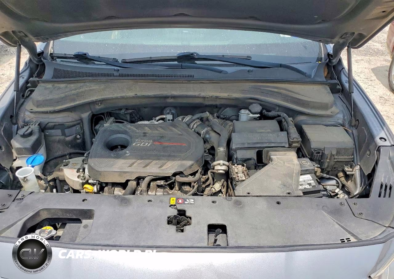 2019 Hyundai Santa Fe Limited 2.0T VIN:5NMS53AA9KH077116 - 12