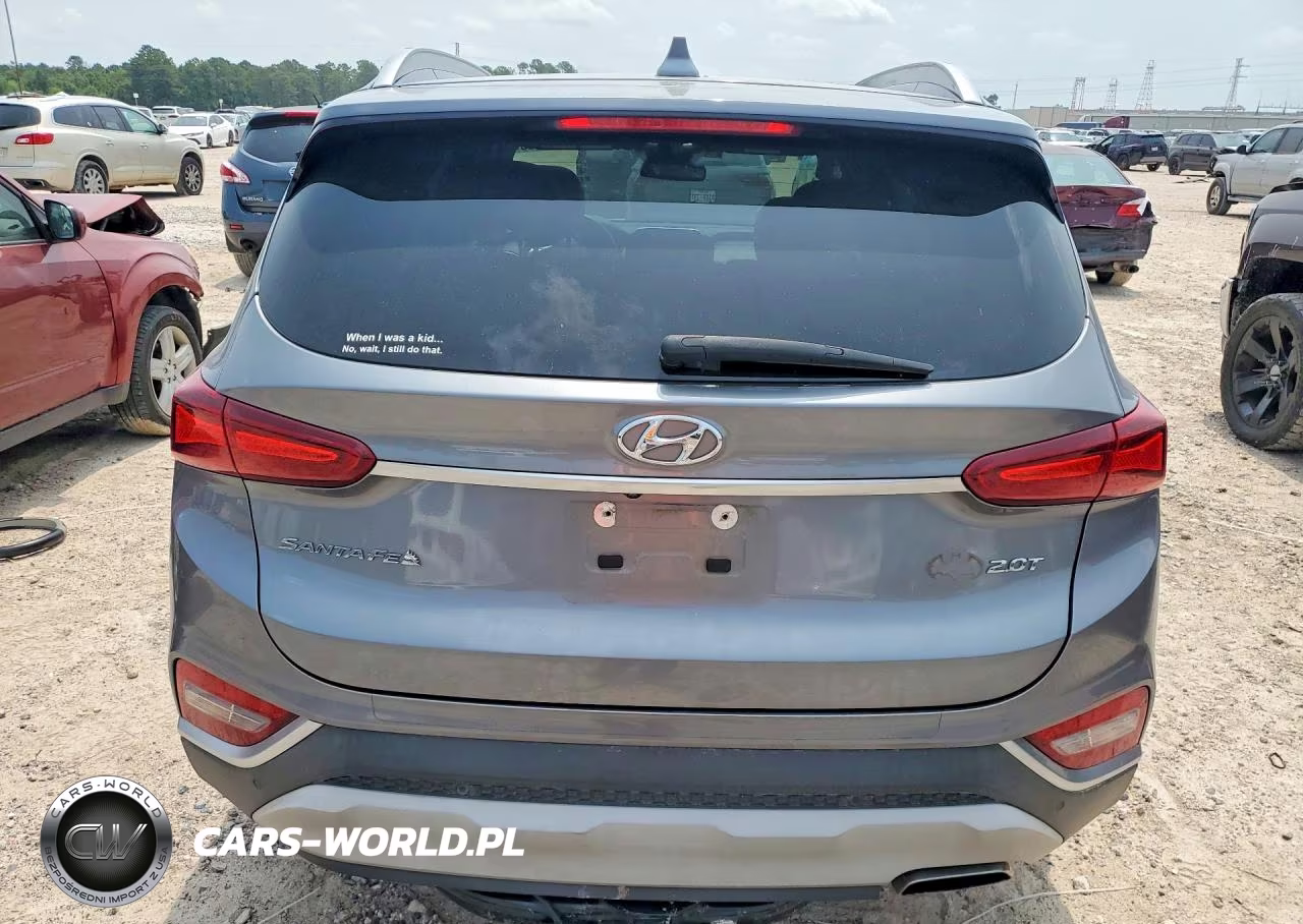 2019 Hyundai Santa Fe Limited 2.0T VIN:5NMS53AA9KH077116 - 6
