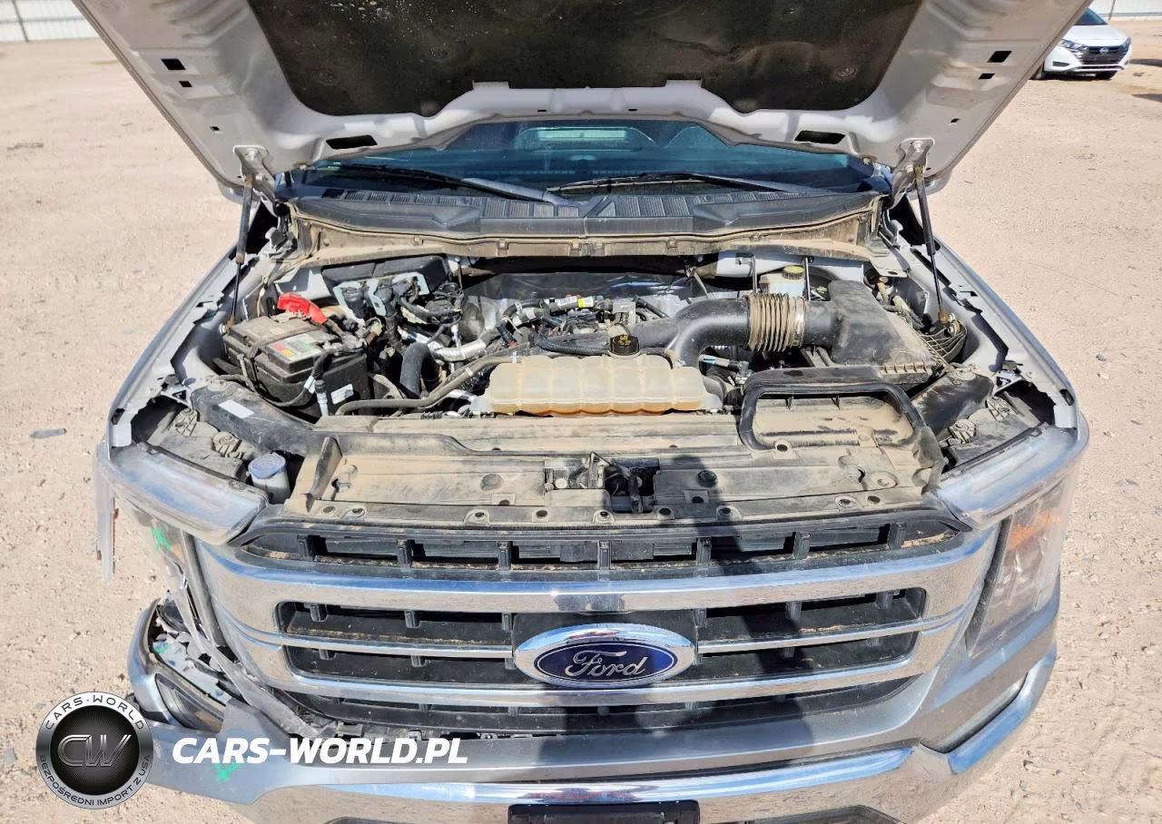 2021 Ford F150 Supercrew VIN:1FTEW1CP1MFB93815 - 11