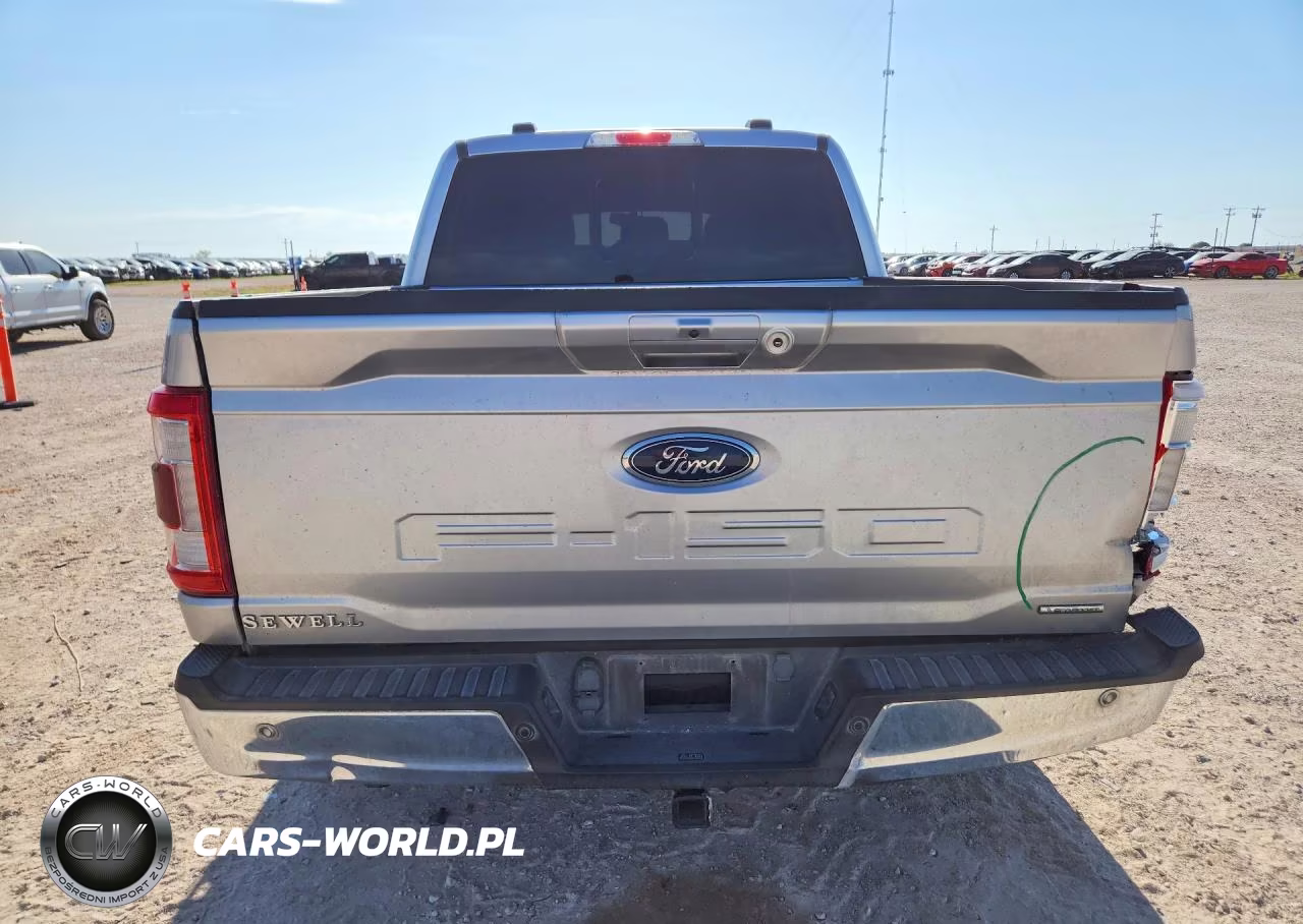 2021 Ford F150 Supercrew VIN:1FTEW1CP1MFB93815 - 6