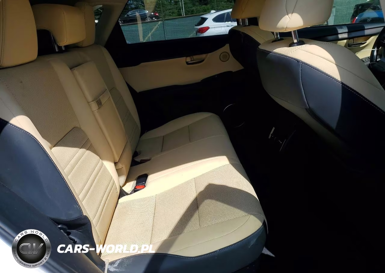 2024 Lexus Nx 300 VIN:JTJDARDZ8L5005821 - 10