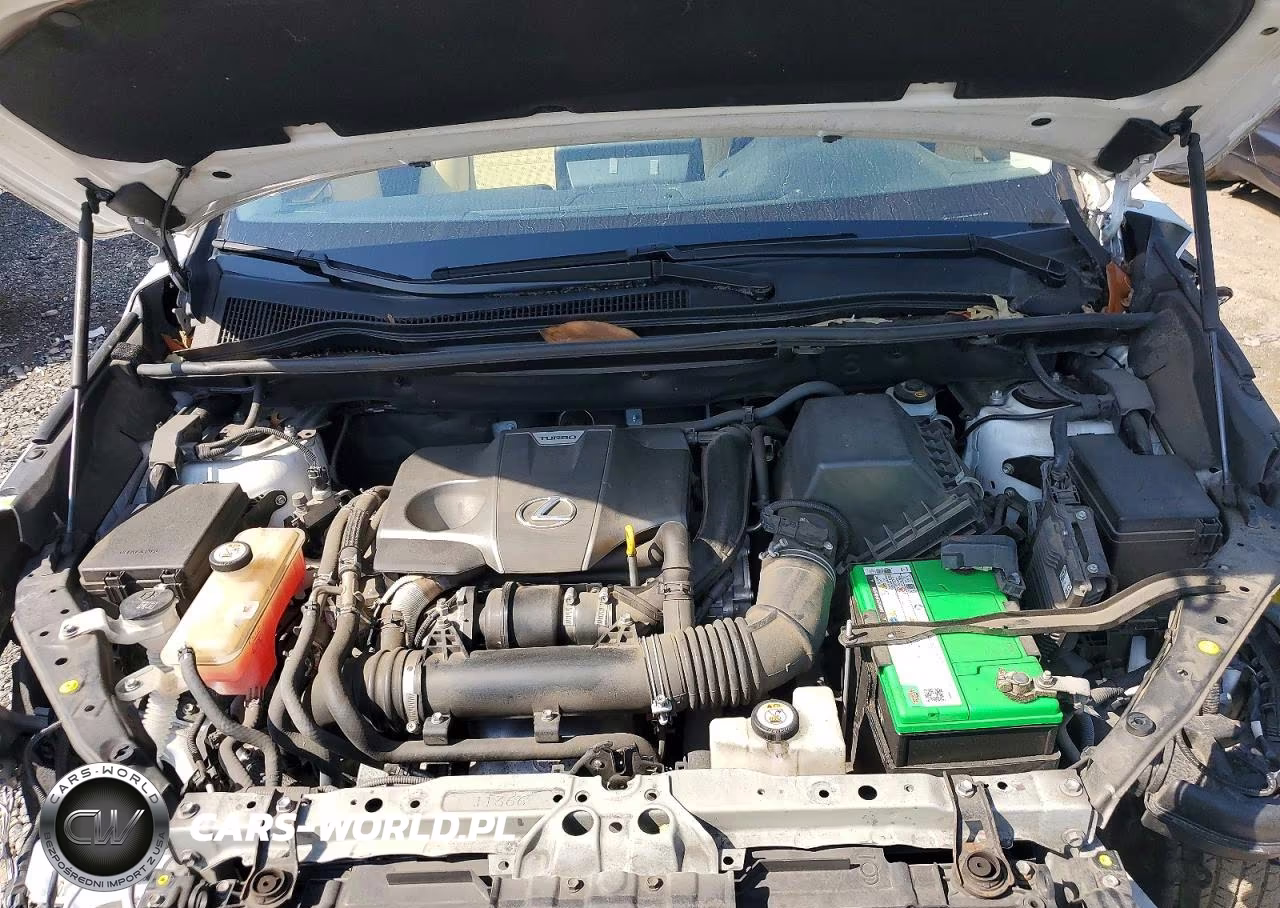 2024 Lexus Nx 300 VIN:JTJDARDZ8L5005821 - 11