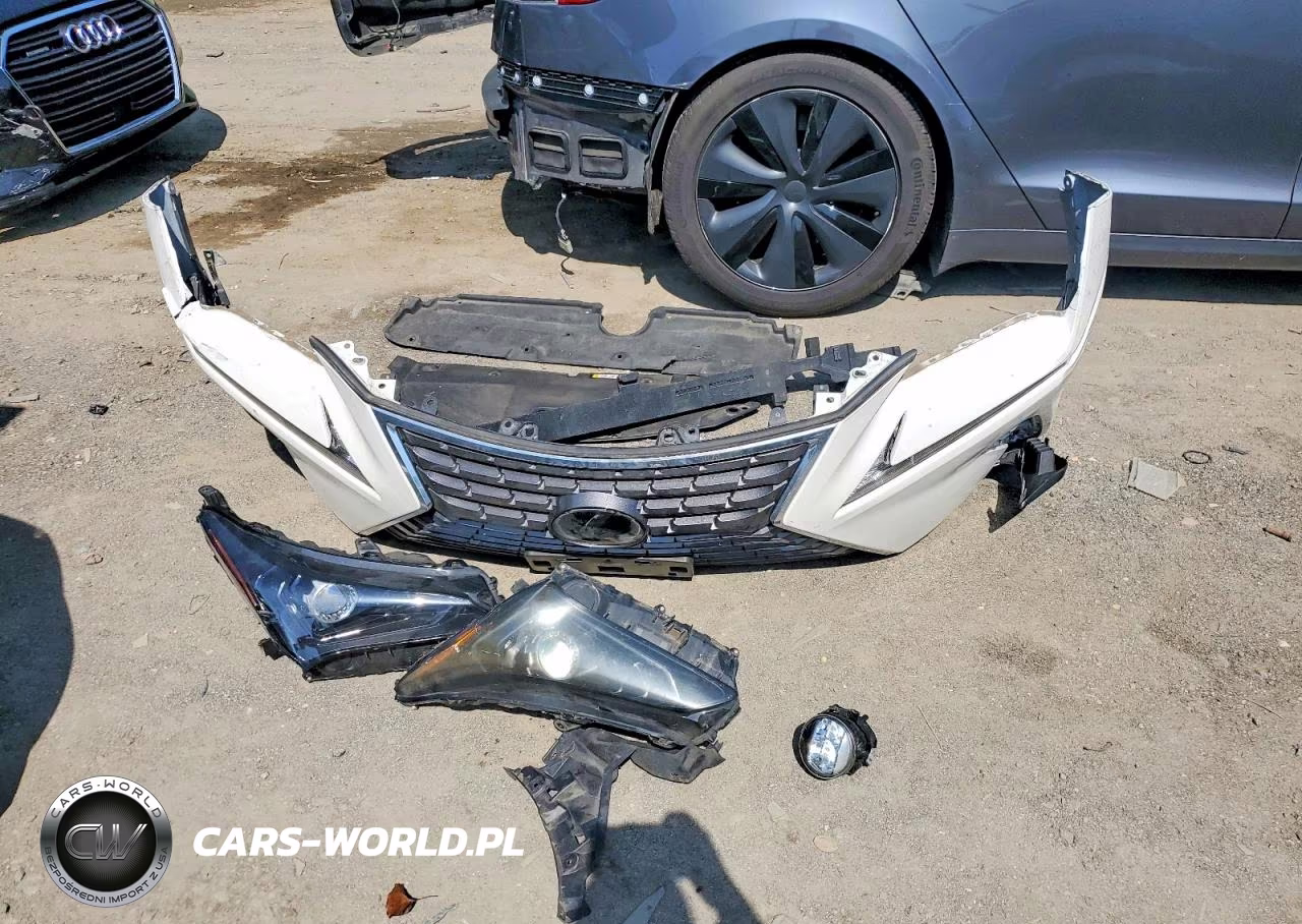 2024 Lexus Nx 300 VIN:JTJDARDZ8L5005821 - 12