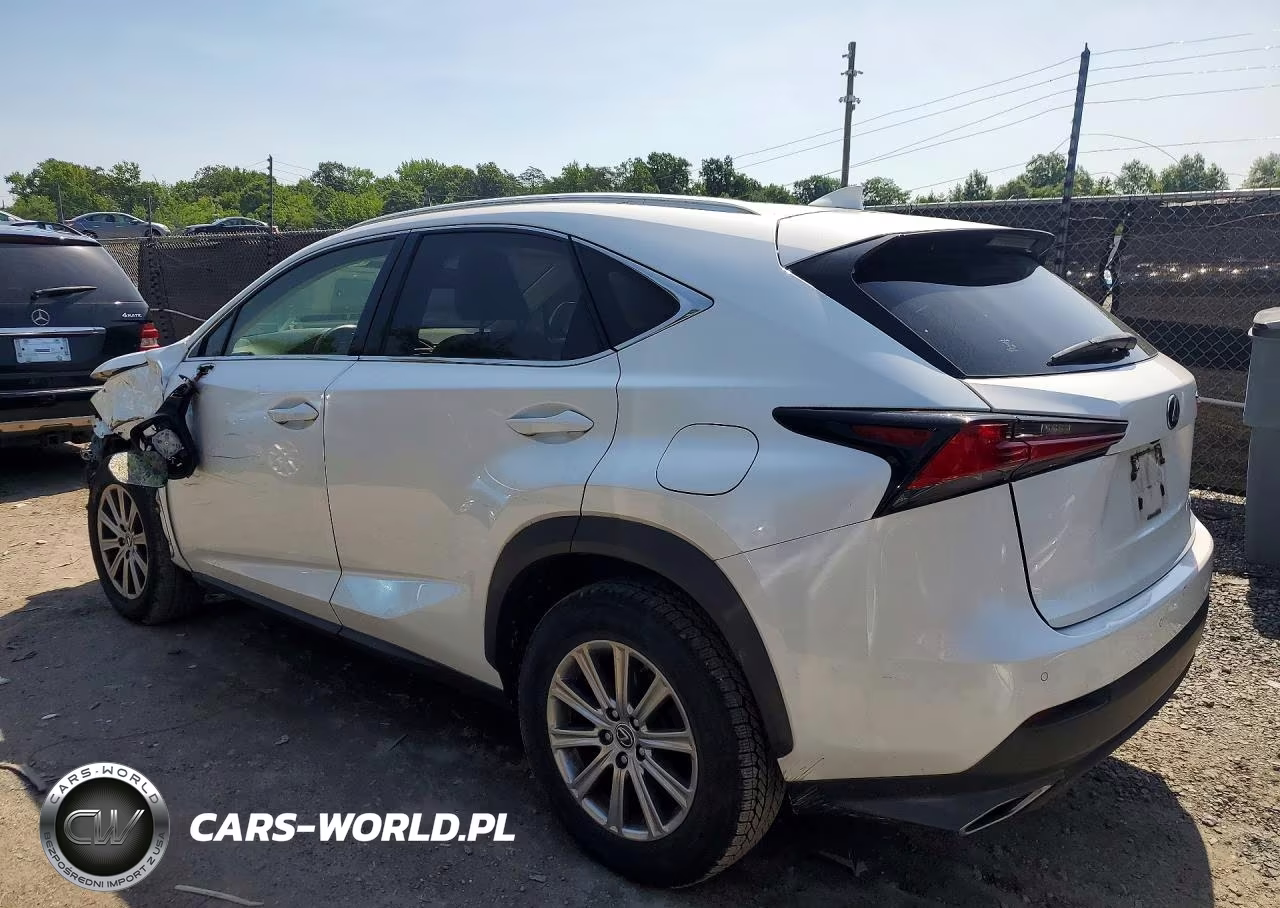 2024 Lexus Nx 300 VIN:JTJDARDZ8L5005821 - 2
