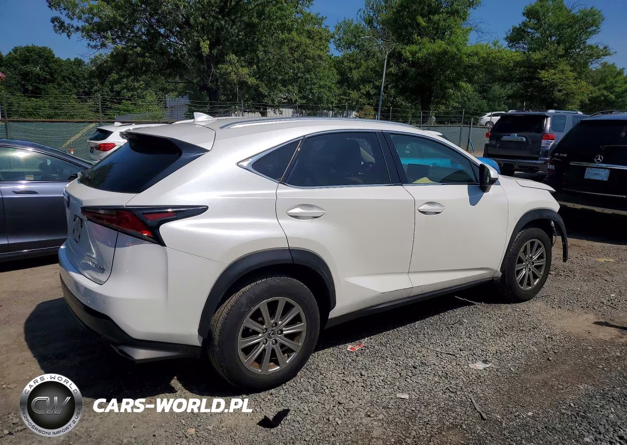 2024 Lexus Nx 300 VIN:JTJDARDZ8L5005821 - 3