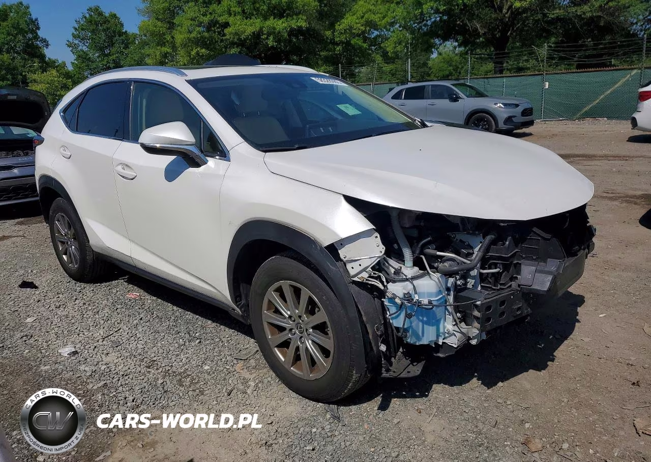 2024 Lexus Nx 300 VIN:JTJDARDZ8L5005821 - 4