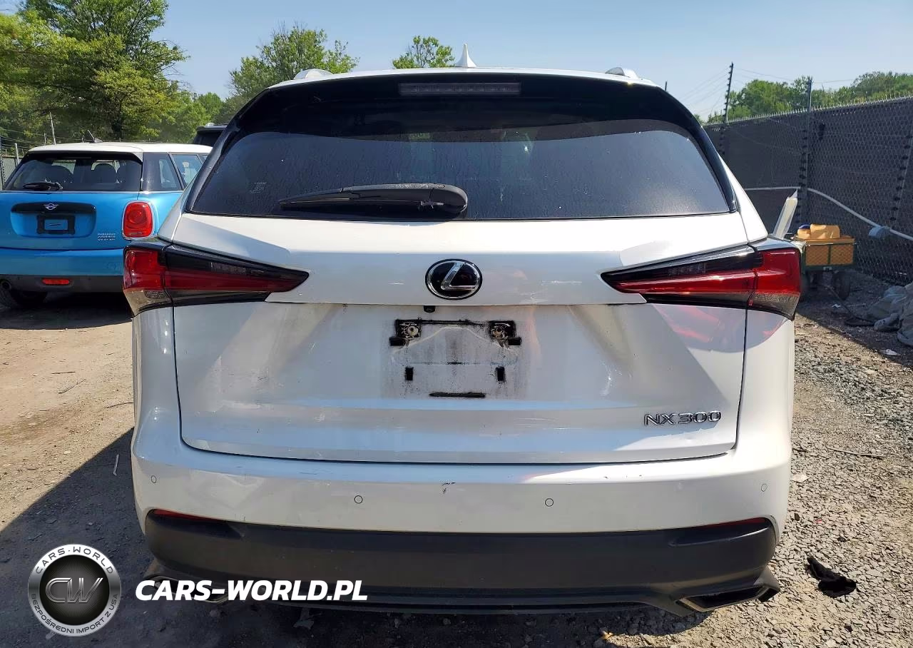 2024 Lexus Nx 300 VIN:JTJDARDZ8L5005821 - 6