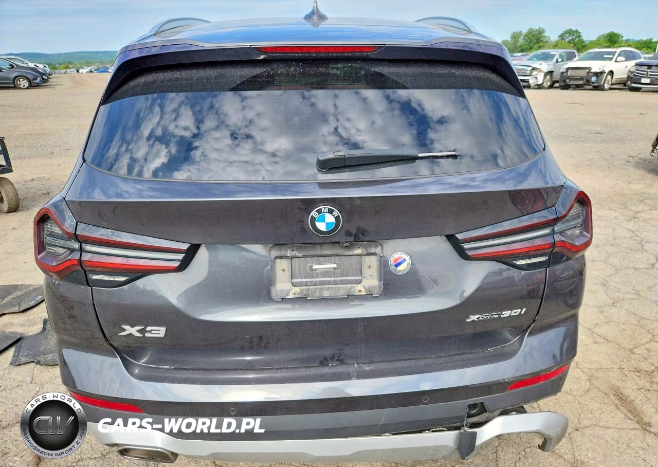 2022 BMW X3 xDrive30I VIN:5UX53DP09N9K77161 - 6