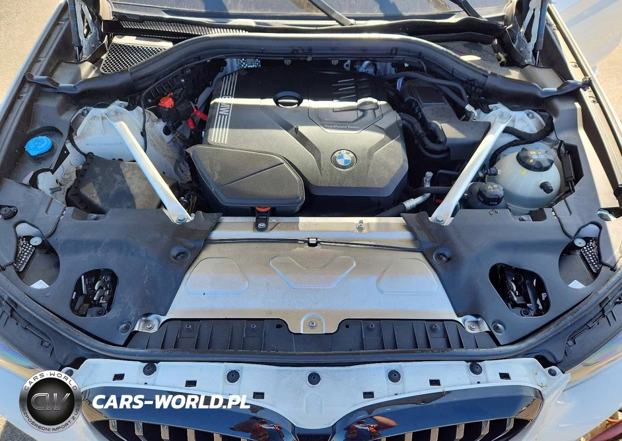 2024 BMW X3 xDrive30I VIN:5UX53DP07R9X42896 - 12
