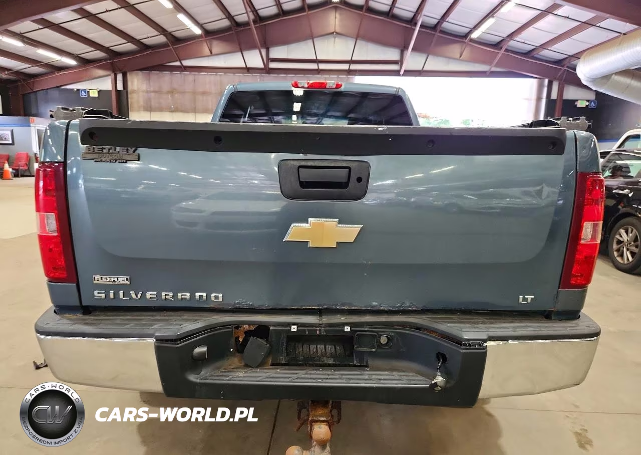2009 Chevrolet Silverado K1500 Lt VIN:1GCEK29029Z276591 - 6