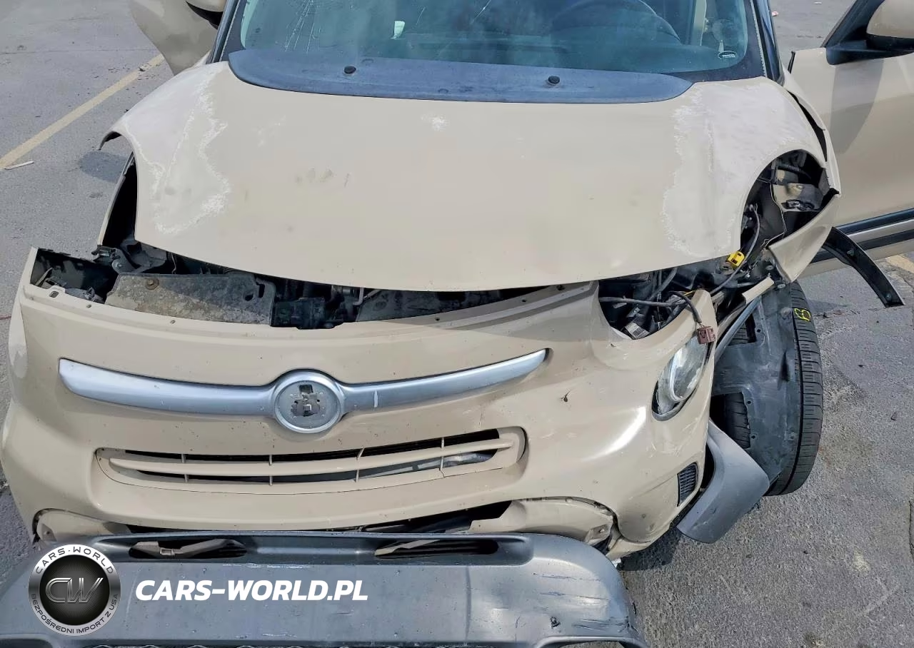2014 Fiat 500L Trekking VIN:ZFBCFADH4EZ018430 - 11