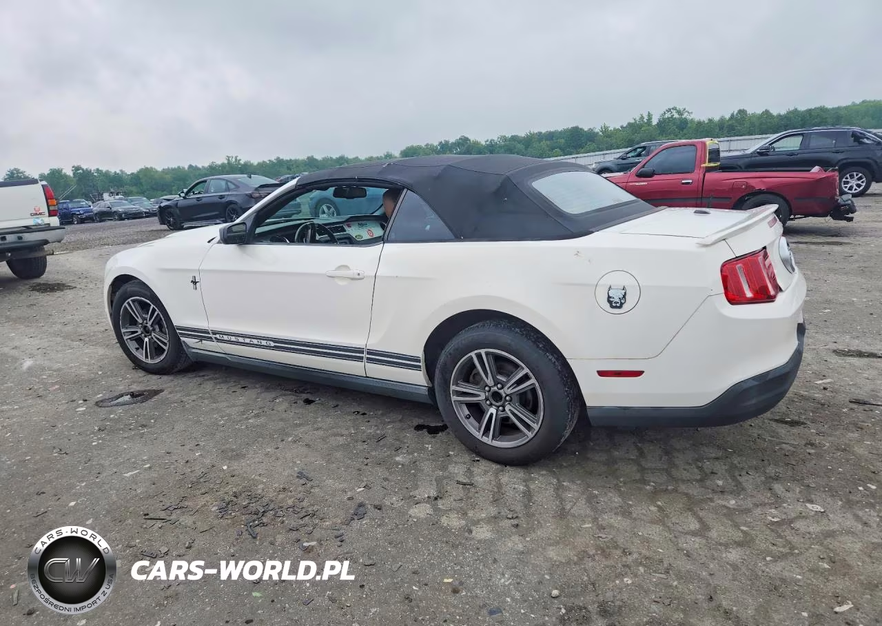 2010 Ford Mustang VIN:1ZVBP8EN6A5174373 - 2