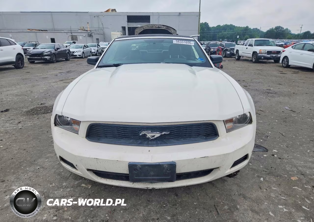 2010 Ford Mustang VIN:1ZVBP8EN6A5174373 - 5