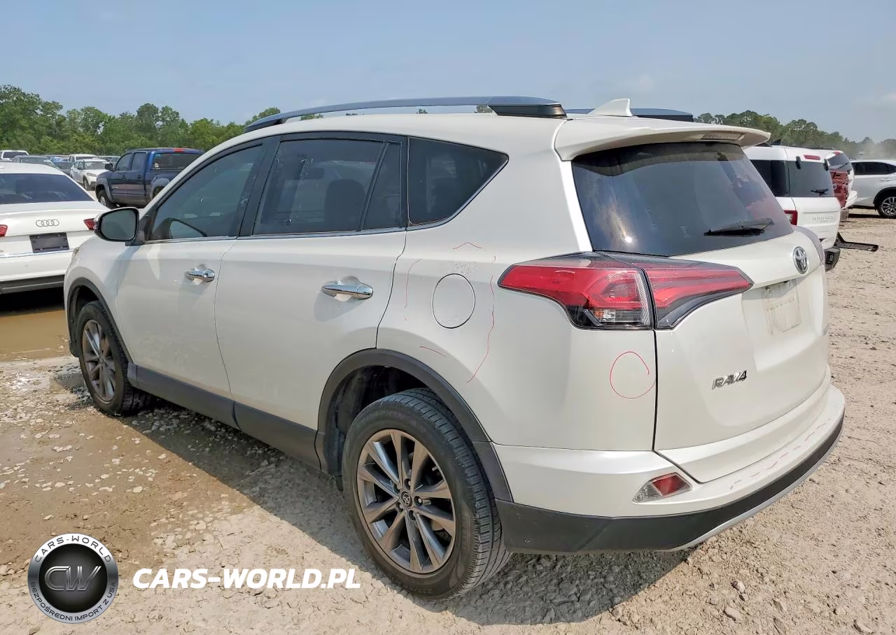 2018 Toyota Rav4 Limited VIN:JTMYFREV5JJ724983 - 2