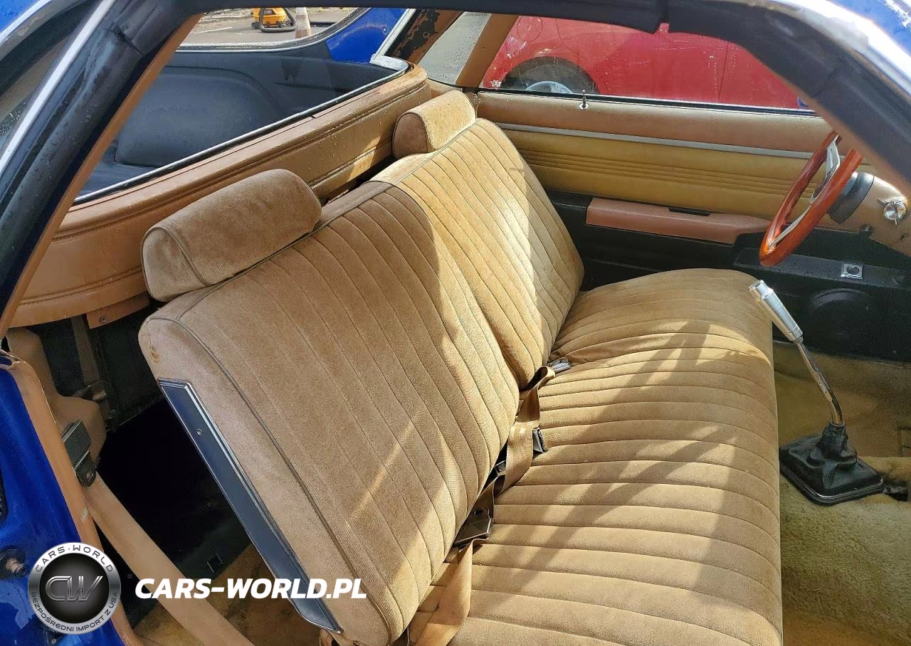 1979 Chevrolet El Camino VIN:1W80J9D438208 - 10