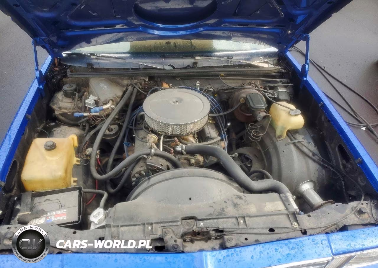 1979 Chevrolet El Camino VIN:1W80J9D438208 - 11