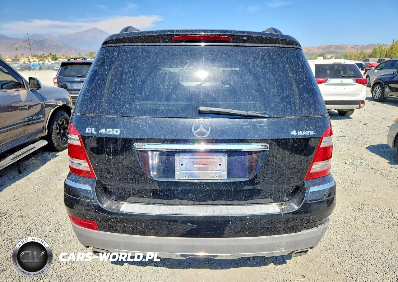 2008 Mercedes-Benz Gl 450 4Matic VIN:4JGBF71E08A393977 - 6