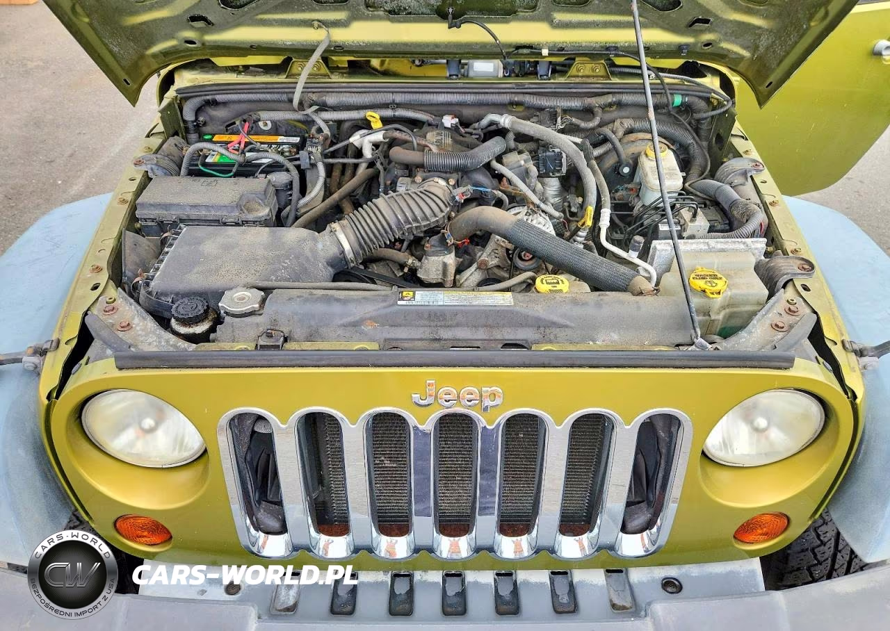 2010 Jeep Wrangler Sport VIN:1J4AA2D16AL207681 - 11
