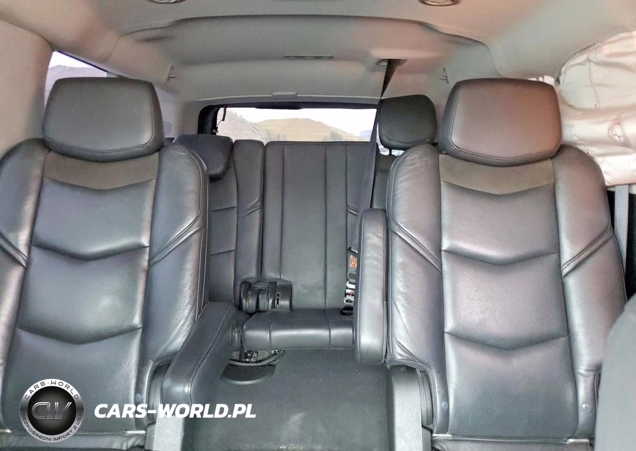 2020 Cadillac Escalade VIN:1GYS3GKJ4LR194847 - 10