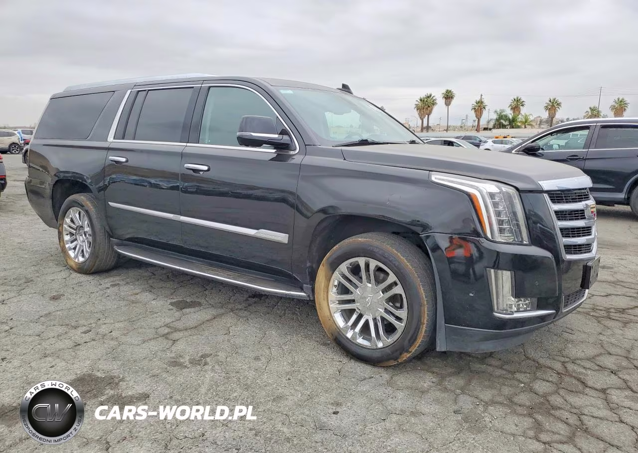 2020 Cadillac Escalade VIN:1GYS3GKJ4LR194847 - 4