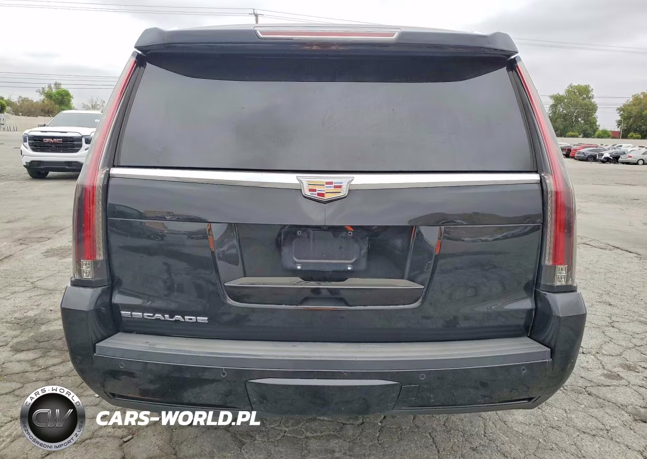 2020 Cadillac Escalade VIN:1GYS3GKJ4LR194847 - 6