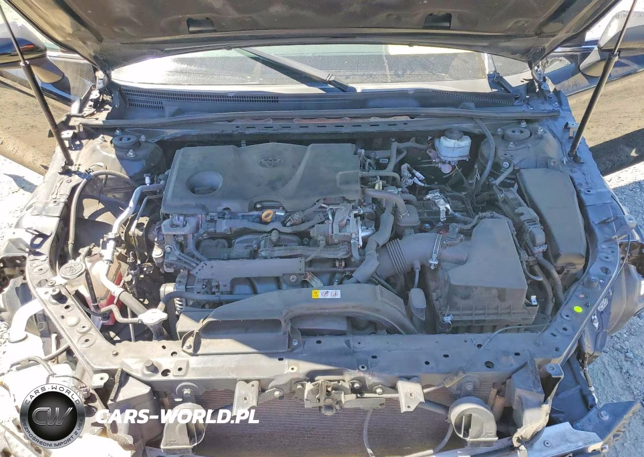 2019 Toyota Camry Se VIN:4T1B11HK3KU694238 - 11